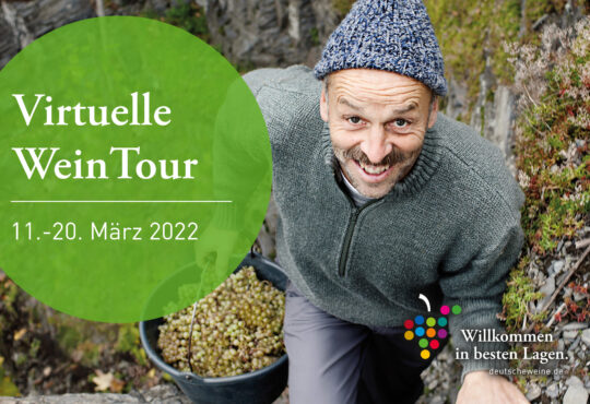 Informativer und interaktiver Weingenuss bei der Virtuellen WeinTour