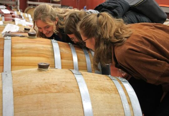 Wein-Schnuppern in der LWG