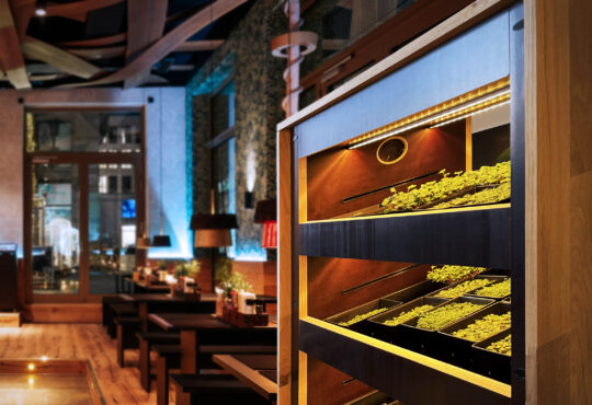 Peter Pane Mana Farm