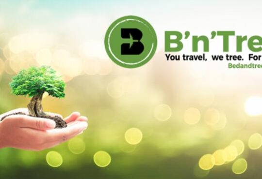 Zum Tag des Baumes und darüber hinaus setzen Reisende ein „grünes“ Zeichen, indem sie über die gemeinsame Kooperationsseite von Best Western Hotels und B'n'Tree buchen.