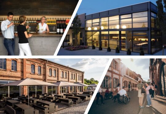 Vinotheken an der Südlichen Weinstraße