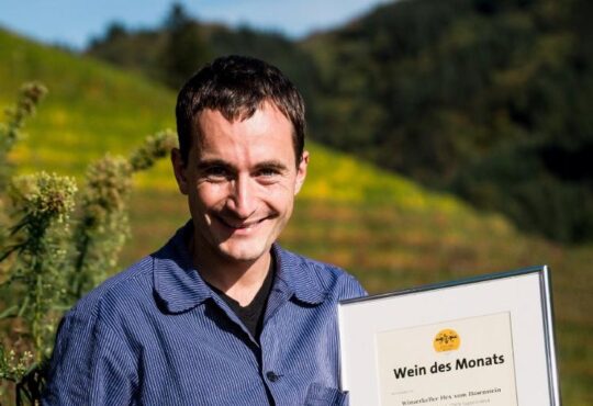 Winzerkeller Hex vom Dasenstein mit Wein des Monats